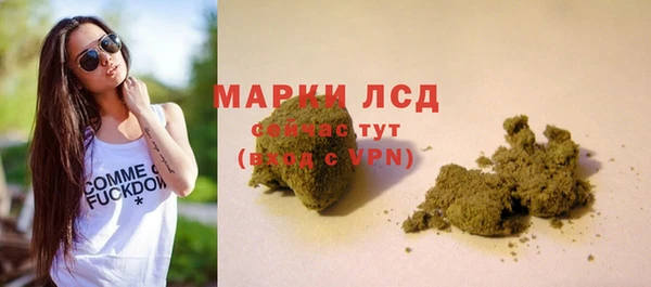 дживик Магас