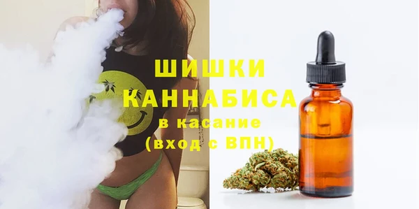 дживик Магас