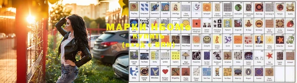 индика Саяногорск